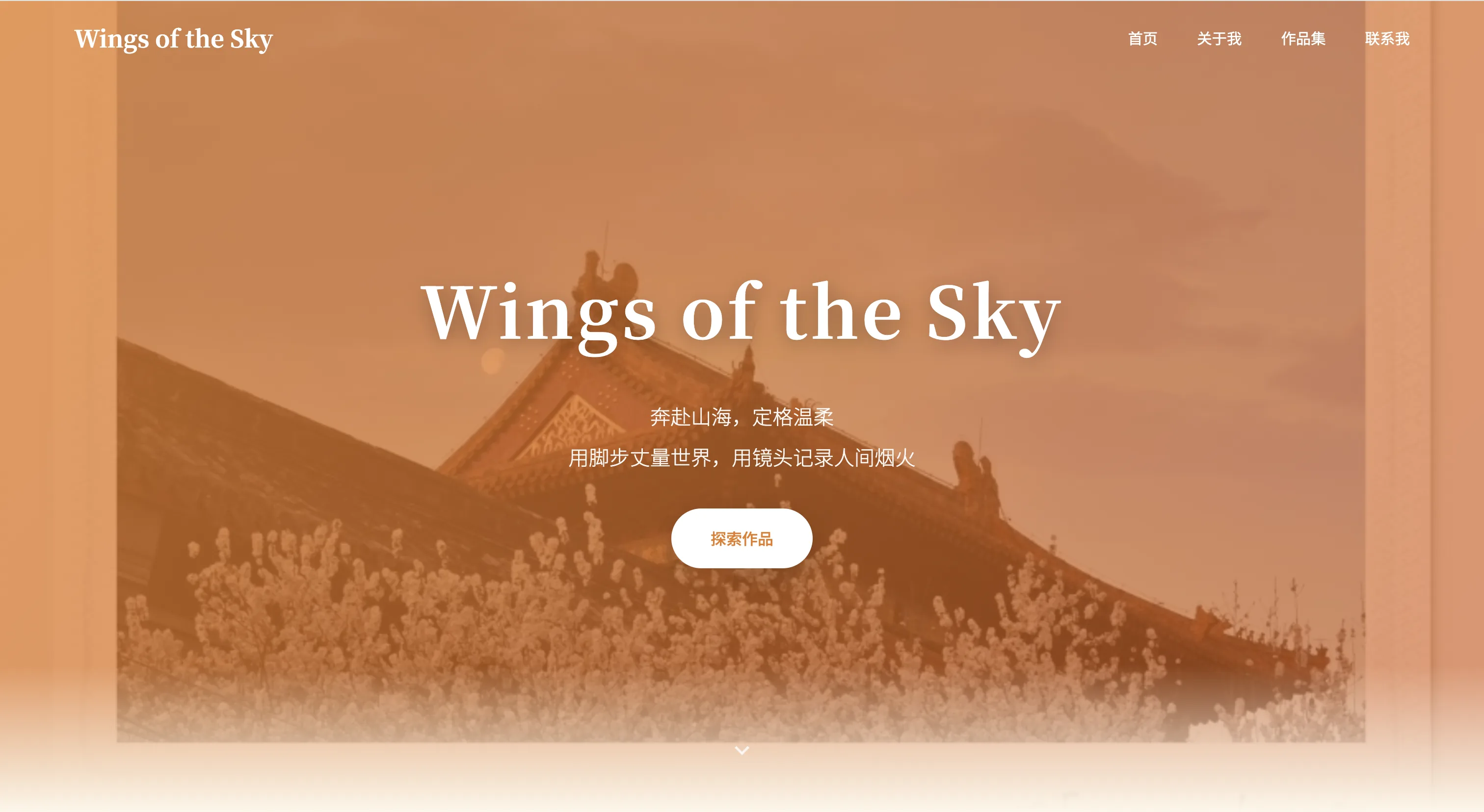 Wings of the Sky — real generated site
